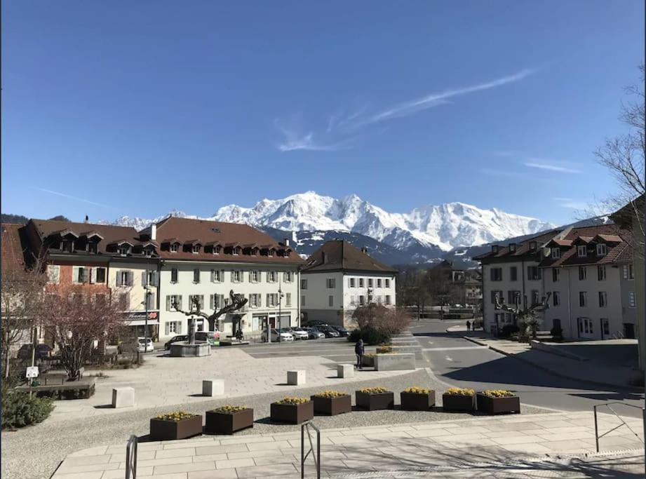 Appartement Spacieux Au Pays Du Mont-Blanc Sallanches Exterior foto